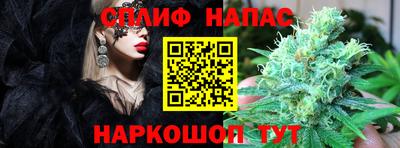 мдпв Лесосибирск