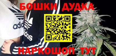 мдпв Лесосибирск