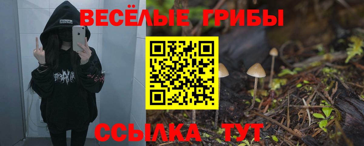 Шали  Галлюциногенные грибы Psilocybine cubensis  купить наркотики сайты  Вход с VPN 